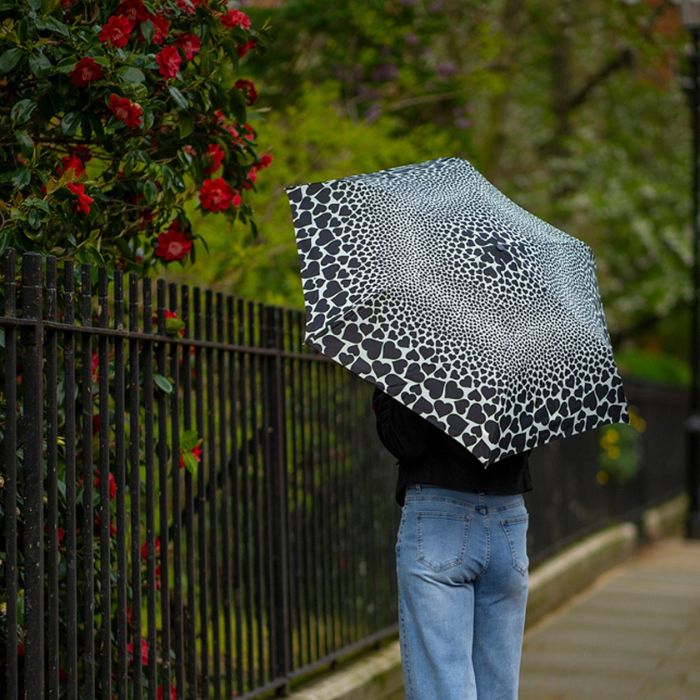 Fulton Curio UV Folding Falling Hearts Umbrella