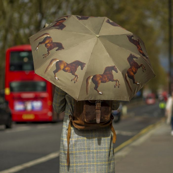 Fulton Minilite National Gallery Compact Foldable Umbrella ('Whistlejacket' by George Stubbs)