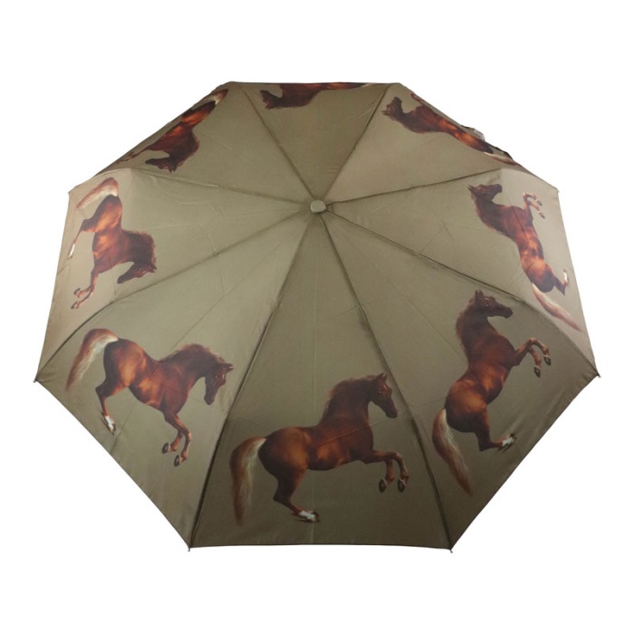 Fulton Minilite National Gallery Compact Foldable Umbrella ('Whistlejacket' by George Stubbs)